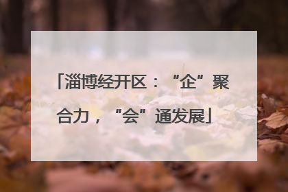 淄博经开区：“企”聚合力，“会”通发展