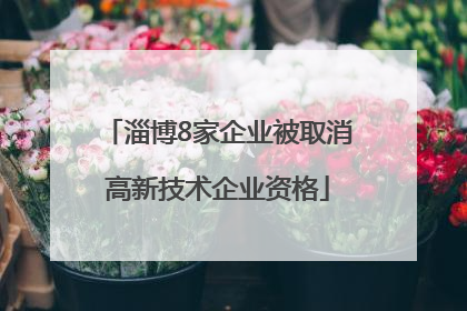 淄博8家企业被取消高新技术企业资格