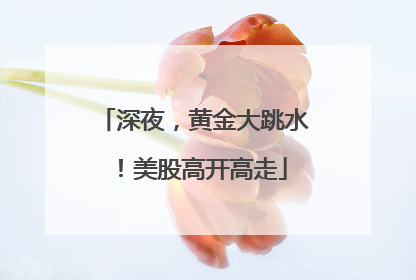 深夜，黄金大跳水！美股高开高走
