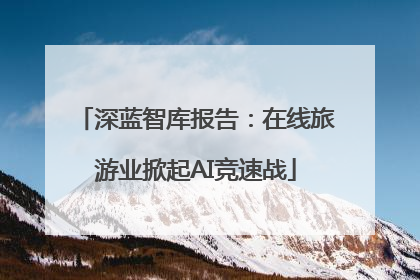 深蓝智库报告：在线旅游业掀起AI竞速战