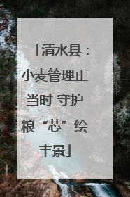 清水县：小麦管理正当时 守护粮“芯”绘丰景