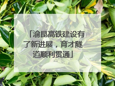 渝昆高铁建设有了新进展，育才隧道顺利贯通