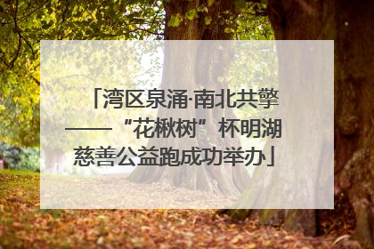 湾区泉涌·南北共擎——“花楸树”杯明湖慈善公益跑成功举办