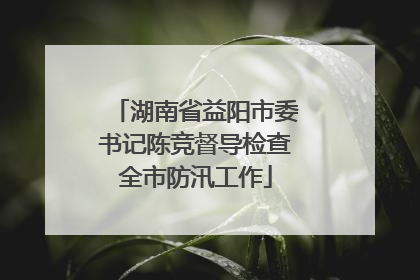 湖南省益阳市委书记陈竞督导检查全市防汛工作