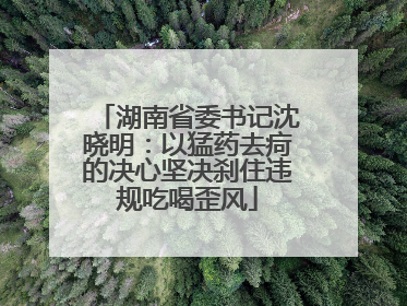 湖南省委书记沈晓明：以猛药去疴的决心坚决刹住违规吃喝歪风