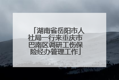 湖南省岳阳市人社局一行来重庆市巴南区调研工伤保险经办管理工作