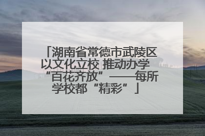 湖南省常德市武陵区以文化立校 推动办学“百花齐放”——每所学校都“精彩”