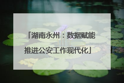 湖南永州：数据赋能推进公安工作现代化