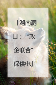 湖南洞口：“政企联合”保供电