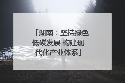 湖南：坚持绿色低碳发展 构建现代化产业体系