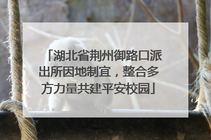 湖北省荆州御路口派出所因地制宜，整合多方力量共建平安校园
