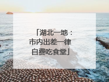 湖北一地：市内出差一律自费吃食堂