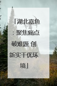 湖北嘉鱼：聚焦痛点破难题 创新实干优环境
