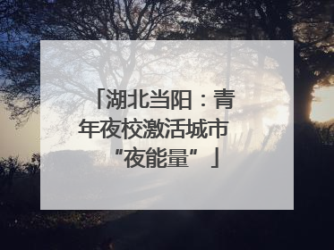 湖北当阳：青年夜校激活城市“夜能量”