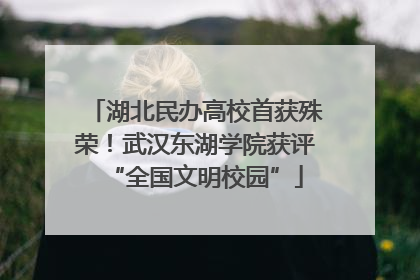 湖北民办高校首获殊荣！武汉东湖学院获评“全国文明校园”