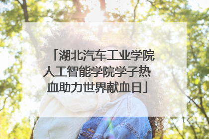 湖北汽车工业学院人工智能学院学子热血助力世界献血日