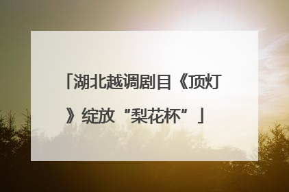 湖北越调剧目《顶灯》绽放“梨花杯”