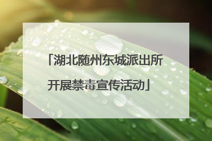 湖北随州东城派出所开展禁毒宣传活动
