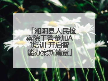 湘阴县人民检察院干警参加AI培训 开启智能办案新篇章