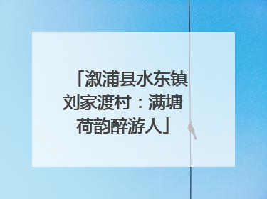 溆浦县水东镇刘家渡村：满塘荷韵醉游人