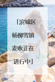 滨城区杨柳雪镇麦收正在进行中