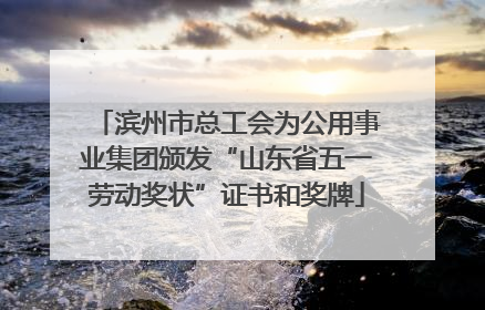 滨州市总工会为公用事业集团颁发“山东省五一劳动奖状”证书和奖牌