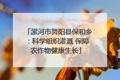 漯河市舞阳县保和乡：科学组织灌溉 保障农作物健康生长