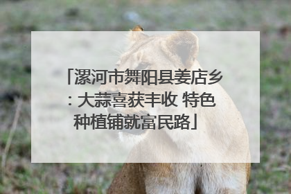漯河市舞阳县姜店乡：大蒜喜获丰收 特色种植铺就富民路