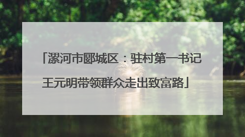 漯河市郾城区：驻村第一书记王元明带领群众走出致富路