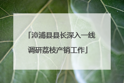 漳浦县县长深入一线调研荔枝产销工作