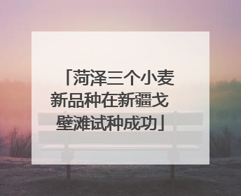 菏泽三个小麦新品种在新疆戈壁滩试种成功