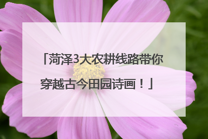 菏泽3大农耕线路带你穿越古今田园诗画！