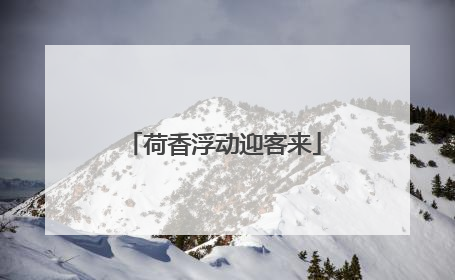 荷香浮动迎客来