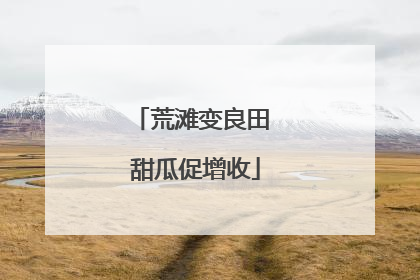 荒滩变良田 甜瓜促增收