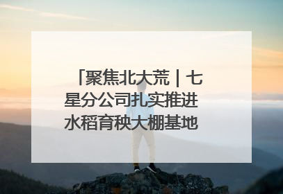 聚焦北大荒｜七星分公司扎实推进水稻育秧大棚基地清理整治工作