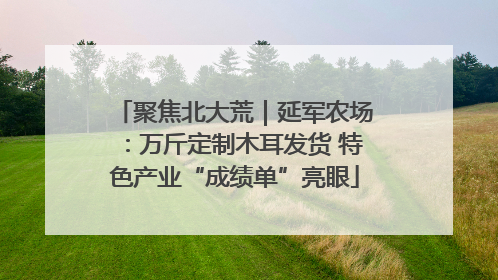 聚焦北大荒｜延军农场：万斤定制木耳发货 特色产业“成绩单”亮眼
