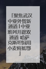 聚焦武汉中亚外贸新通道│中亚班列开辟双通道 哈萨克斯坦饲用小麦将抵鄂