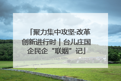 聚力集中攻坚·改革创新进行时｜台儿庄国企民企“联姻”记