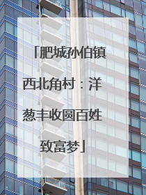 肥城孙伯镇西北角村：洋葱丰收圆百姓致富梦