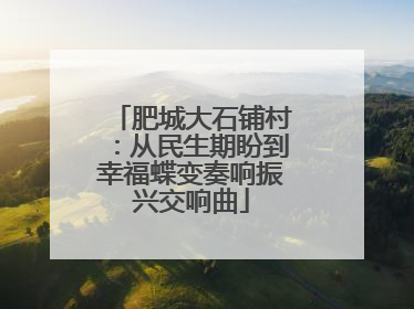 肥城大石铺村：从民生期盼到幸福蝶变奏响振兴交响曲