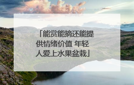 能赏能摘还能提供情绪价值 年轻人爱上水果盆栽