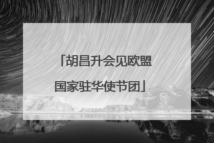 胡昌升会见欧盟国家驻华使节团