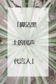 脚沾黑土的民声代言人