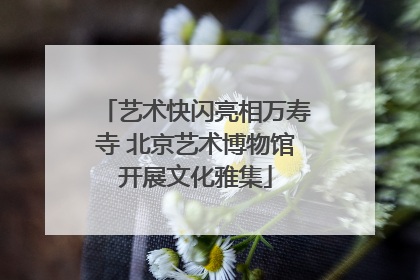 艺术快闪亮相万寿寺 北京艺术博物馆开展文化雅集