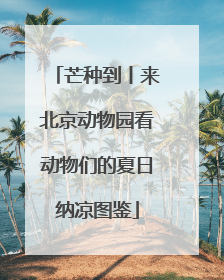芒种到丨来北京动物园看动物们的夏日纳凉图鉴