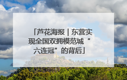 芦花海报｜东营实现全国双拥模范城“六连冠”的背后