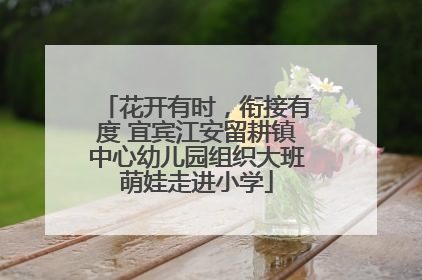 花开有时，衔接有度 宜宾江安留耕镇中心幼儿园组织大班萌娃走进小学