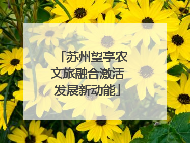 苏州望亭农文旅融合激活发展新动能