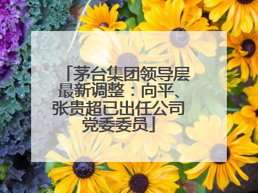 茅台集团领导层最新调整：向平、张贵超已出任公司党委委员