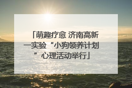 萌趣疗愈 济南高新一实验“小狗领养计划”心理活动举行